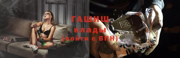 шишки Верхний Тагил
