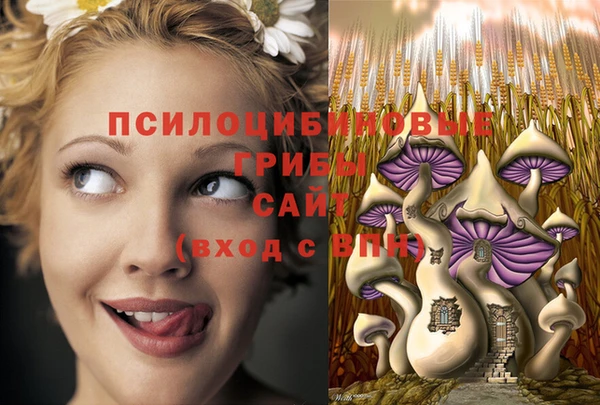 ешки Волоколамск