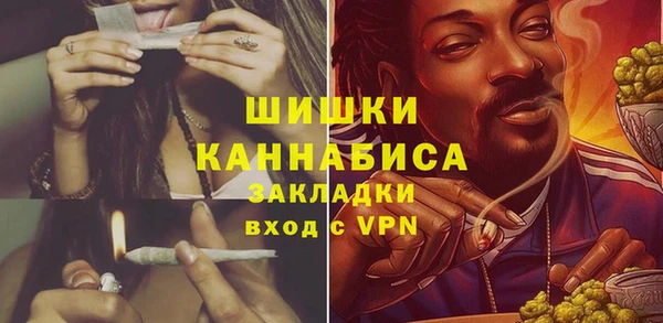 шишки Верхний Тагил