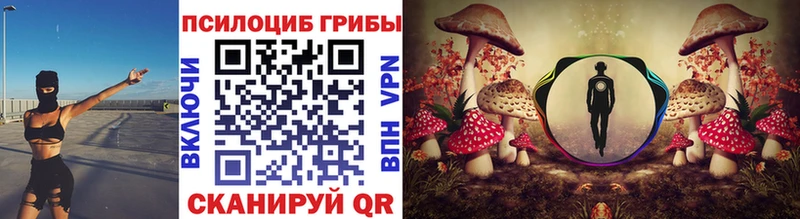 продажа наркотиков  Елец  Псилоцибиновые грибы ЛСД 